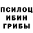 Галлюциногенные грибы Psilocybe ahmet cubukcu
