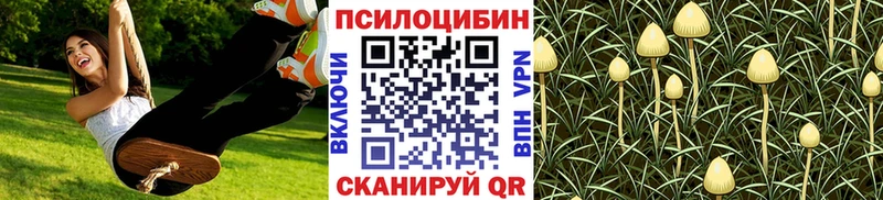 Псилоцибиновые грибы ЛСД  Ейск 